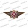 Нагрудный знак Классность офицерская ФСИН "М" красный фон
