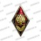 Значок-крест "За службу на Кавказе" (красный крест, орел МВД, колодка триколор)