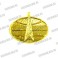 Эмблема петличная Войск Связи (новая) золотая
